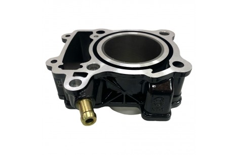 KIT CILINDRO NS 200 / RS 200 PULSAR BAJAJ BJ