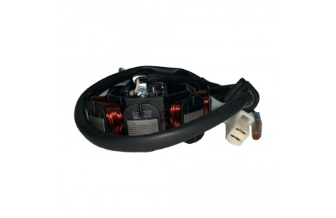 ESTATOR INVICTA 150 / XR 150 8 BOBINAS VINI PARTS ESTATOR INVICTA 150 / XR 150 8 BOBINAS VINI PARTS