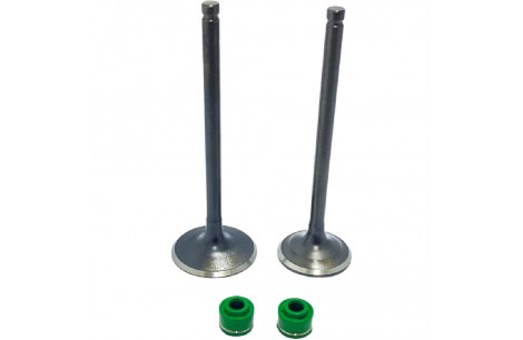VALVULAS MOTOR RACER 250 / TTX 250 / MRC 150 5.5 MM C RETENES SEIPRO