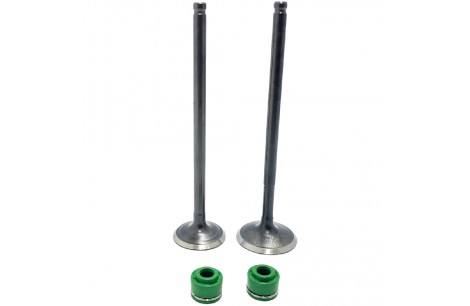 VALVULAS MOTOR RKS 125 5MM ADM + ESC C RETENES SEIPRO