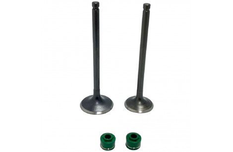 VALVULAS MOTOR GN 5.5MM ADMISION + ESCAPE C RETENES SEIPRO