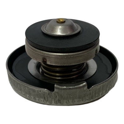 TAPA RADIADOR NS 200 ORIGINAL CM TAPA RADIADOR NS 200 ORIGINAL CM