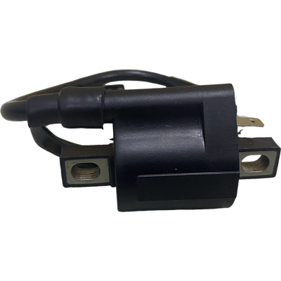 BOBINA ALTA CG 125 / CG 150 / RK 150 / TTX 150 / TTX 250 HB