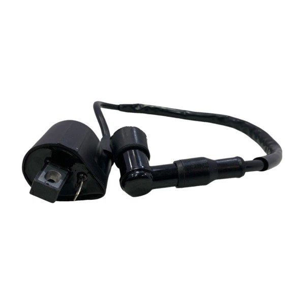 BOBINA ALTA CG 125 / CG 150 / CBX / MOTORRAD TODAS / RK 150 BJ