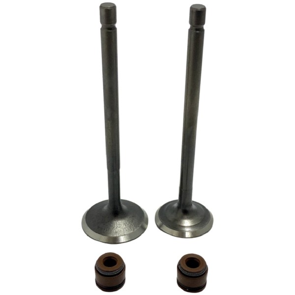 VALVULAS MOTOR AN 125 SUZUKI ADM + ESC C RETENES SEIPRO