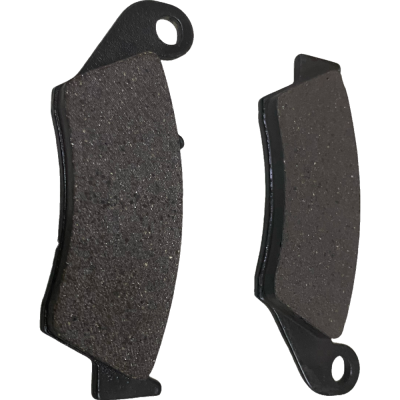 PASTILLAS FRENO ( LMP 294 ) DELANTERA XR 125 / XR 150 / XR 190 / XR 250 / FALCON 400 / XRE 300 DIAFRAG IMP PASTILLAS FRENO ( LMP 294 ) DELANTERA XR 125 / XR 150 / XR 190 / XR 250 / FALCON 400 / XRE 300 DIAFRAG IMP