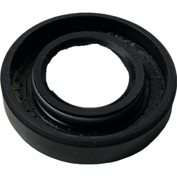 RETEN BOMBA AGUA NS 200 12 24 5.5 BAJAJ