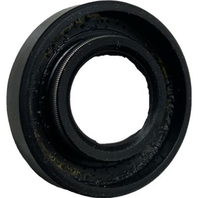 RETEN BOMBA AGUA NS 200 12 24 5.5 BAJAJ
