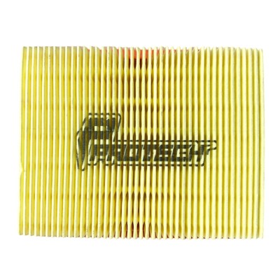 FILTRO AIRE DUKE 200 PAPEL PROTECH