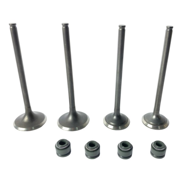 VALVULAS ADM / ESC XRE 300 / XR 250 TORNADO HONDA VITRIX