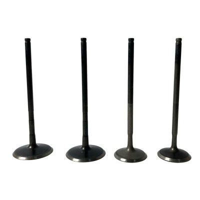 VALVULAS DOMINAR 400 V1 VARROC VALVULAS DOMINAR 400 V1 VARROC