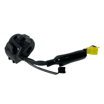 COMANDO IZQUIERDO DR 160 HAOJUE