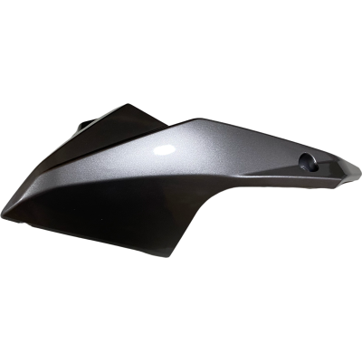 QUILLA IZQUIERDA PLATEADA / GRIS RKS 150 SPORT KEEWAY RENT QUILLA IZQUIERDA PLATEADA / GRIS RKS 150 SPORT KEEWAY RENT