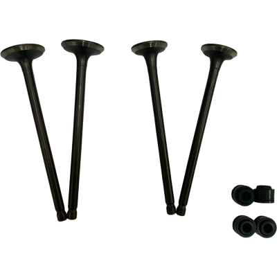 VALVULAS NS 125 ADMISION / ESCAPE PULSAR SEIPRO