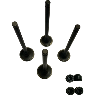 VALVULAS NS 125 ADMISION / ESCAPE PULSAR SEIPRO