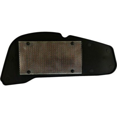 FILTRO AIRE CYGNUS 125 ZR RAY BJ