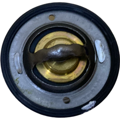 TERMOSTATO NS 200 PULSAR