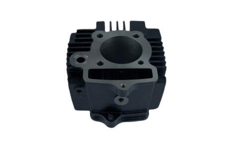 KIT CILINDRO EXPRESS 100 MOTORRAD / CD110 52.5MM PROTECH KIT CILINDRO EXPRESS 100 MOTORRAD / CD110 52.5MM PROTECH