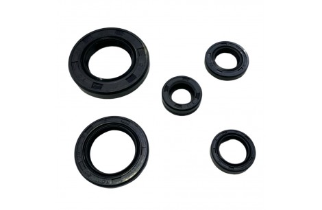 KIT RETENES MOTOR FZ 16 HQ KIT RETENES MOTOR FZ 16 HQ